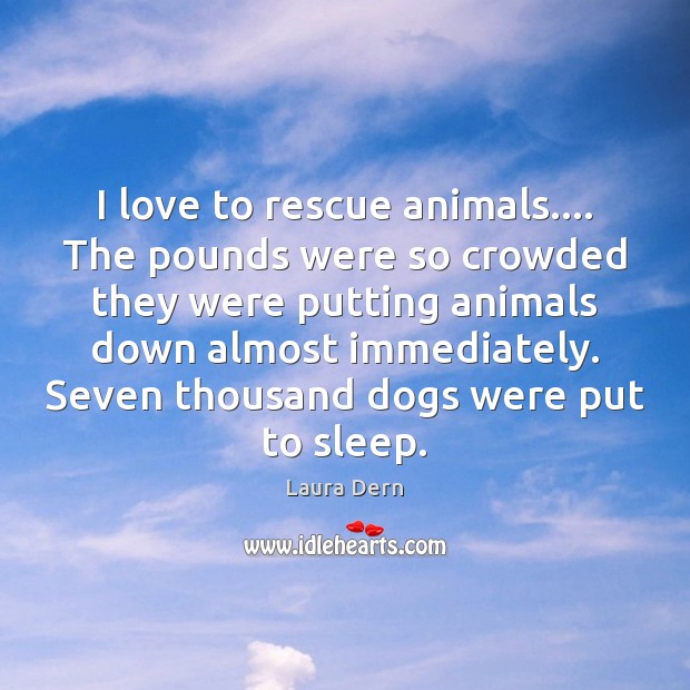 I love to rescue animals…. The pounds were so crowded they were Laura Dern Picture Quote