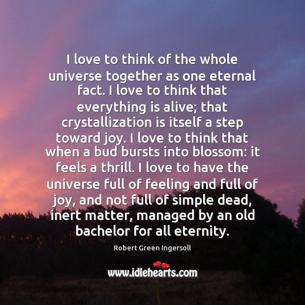 I love to think of the whole universe together as one eternal Robert Green Ingersoll Picture Quote
