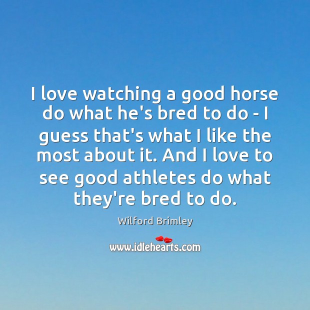 I love watching a good horse do what he’s bred to do Wilford Brimley Picture Quote