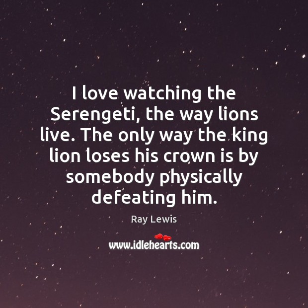 I love watching the Serengeti, the way lions live. The only way Ray Lewis Picture Quote