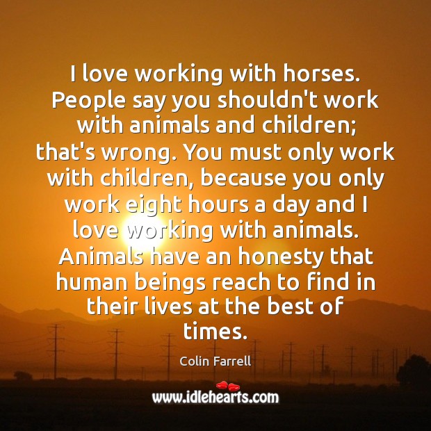 I love working with horses. People say you shouldn’t work with animals Image