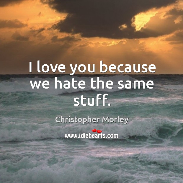 I love you because we hate the same stuff. I Love You Quotes Image