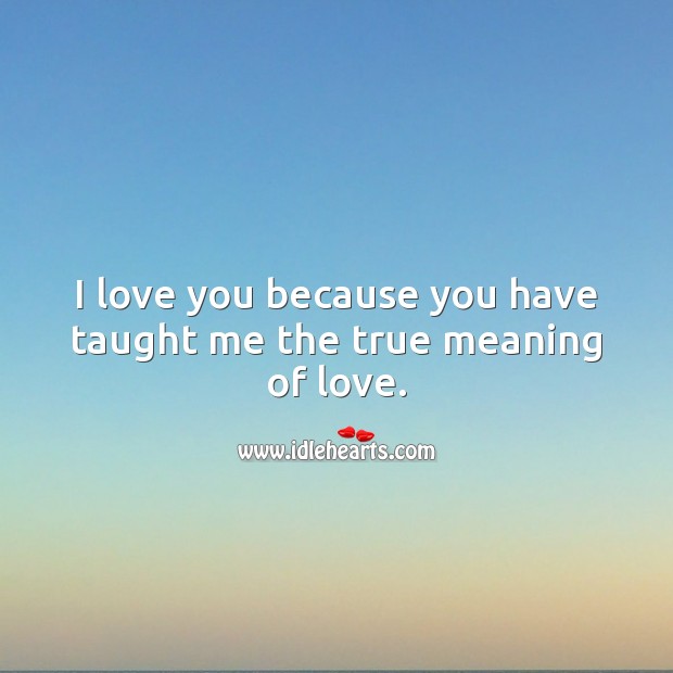 I love you because you have taught me the true meaning of love. I Love You Quotes Image
