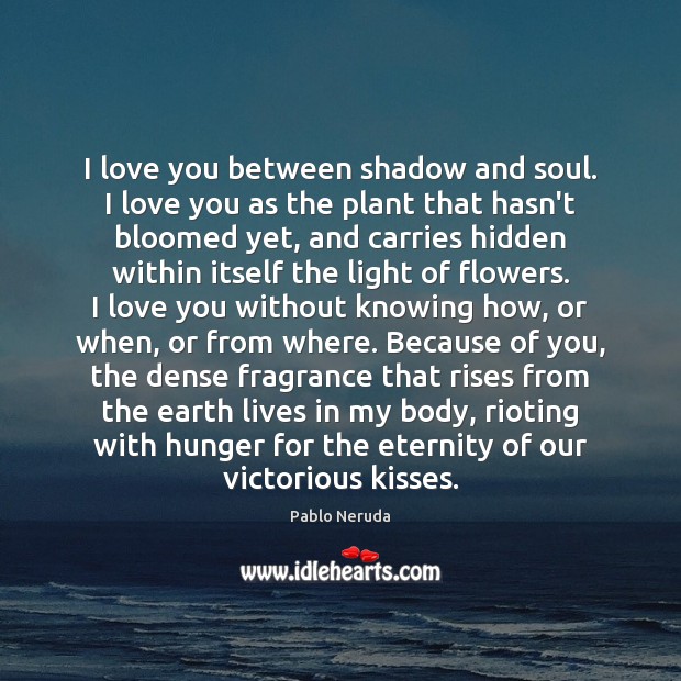 I love you between shadow and soul. I love you as the Pablo Neruda Picture Quote
