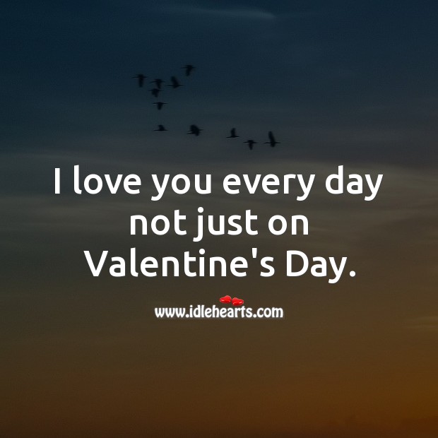 I love you every day not just on Valentine’s Day. I Love You Quotes Image