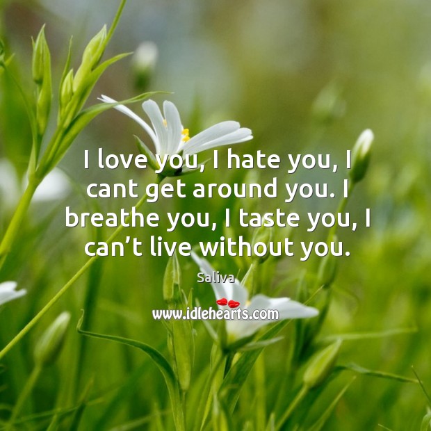 I love you, I hate you, I cant get around you. I breathe you, I taste you, I can’t live without you. Saliva Picture Quote