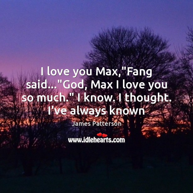 I love you Max,”Fang said…”God, Max I love you so James Patterson Picture Quote