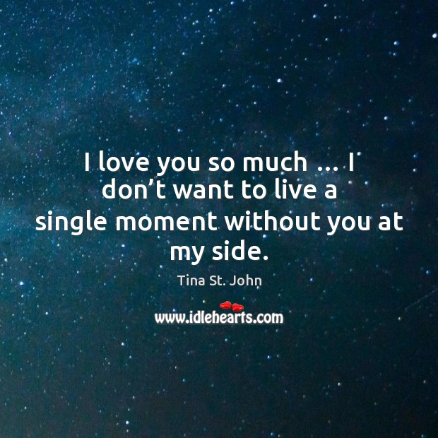 I love you so much … I don’t want to live a single moment without you at my side. Love You So Much Quotes Image