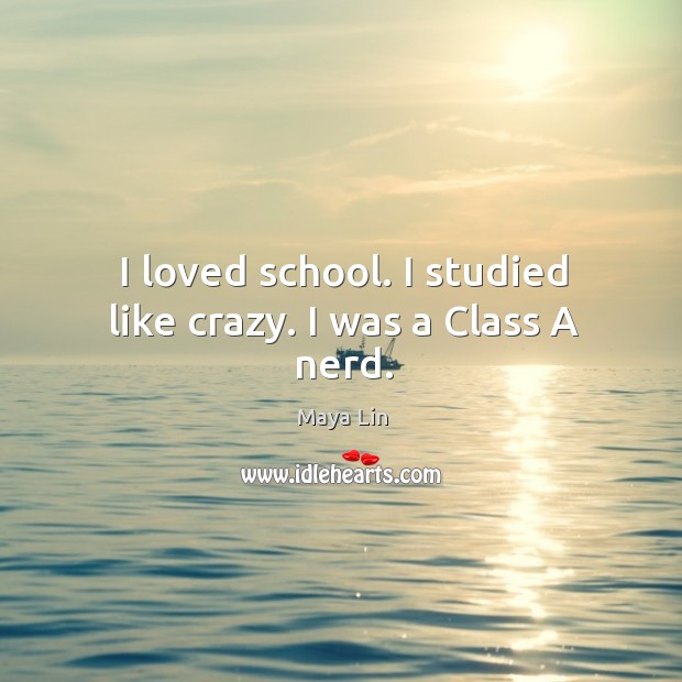 I loved school. I studied like crazy. I was a class a nerd. Image
