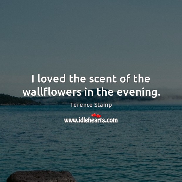 I loved the scent of the wallflowers in the evening. Terence Stamp Picture Quote