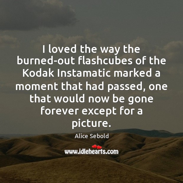 I loved the way the burned-out flashcubes of the Kodak Instamatic marked Alice Sebold Picture Quote