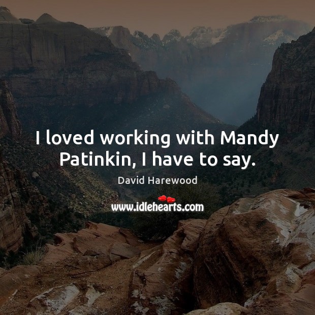 I loved working with Mandy Patinkin, I have to say. David Harewood Picture Quote