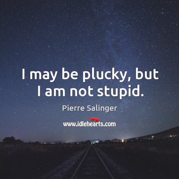 I may be plucky, but I am not stupid. Image