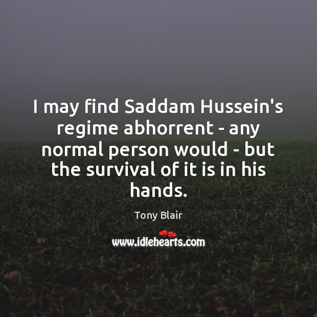 I may find Saddam Hussein’s regime abhorrent – any normal person would Image