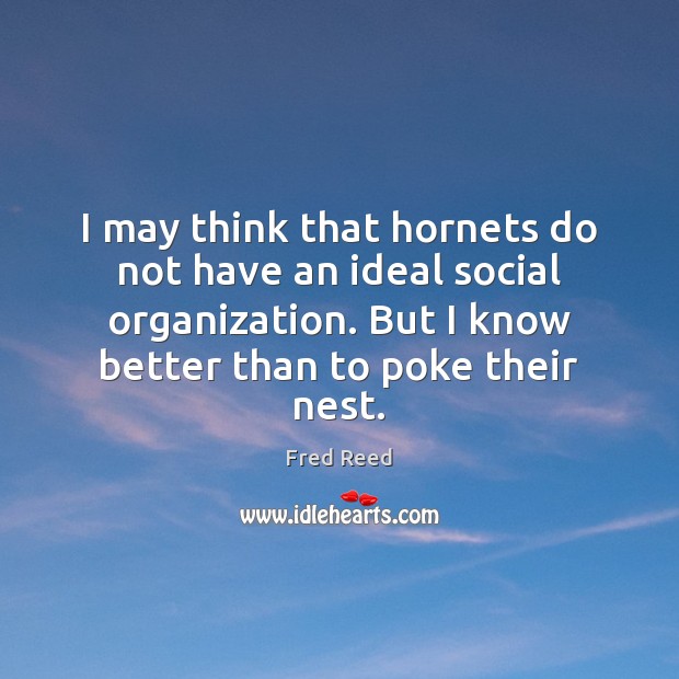 I may think that hornets do not have an ideal social organization. Fred Reed Picture Quote