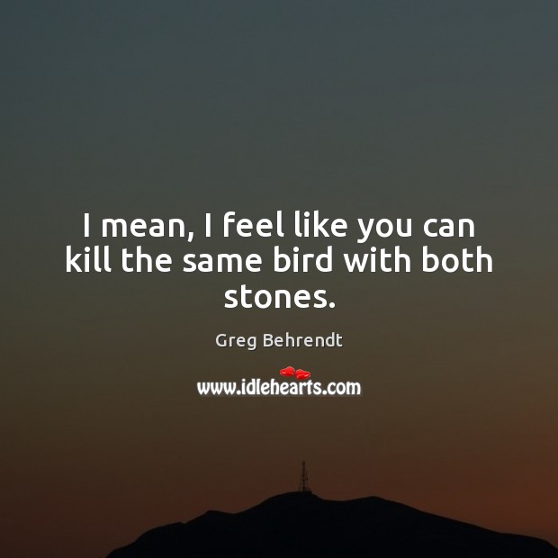I mean, I feel like you can kill the same bird with both stones. Greg Behrendt Picture Quote