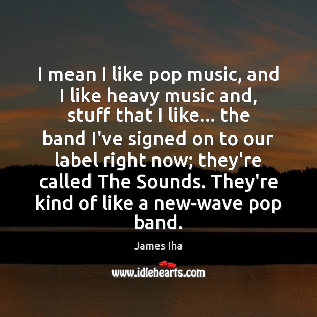 I mean I like pop music, and I like heavy music and, James Iha Picture Quote