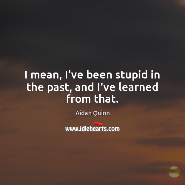 I mean, I’ve been stupid in the past, and I’ve learned from that. Aidan Quinn Picture Quote