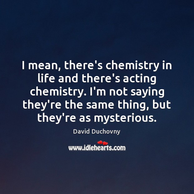 I mean, there’s chemistry in life and there’s acting chemistry. I’m not David Duchovny Picture Quote
