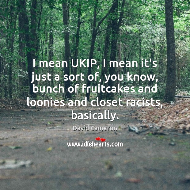 I mean UKIP, I mean it’s just a sort of, you know, David Cameron Picture Quote
