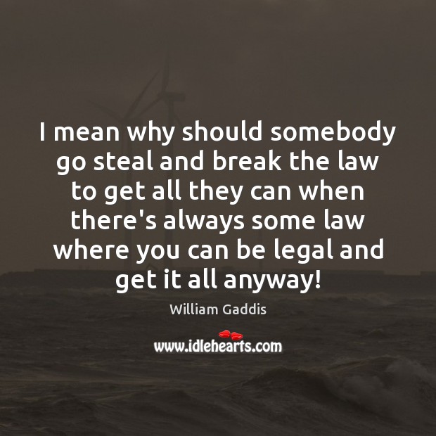 I mean why should somebody go steal and break the law to William Gaddis Picture Quote