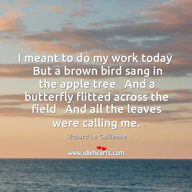 I meant to do my work today   But a brown bird sang Richard Le Gallienne Picture Quote