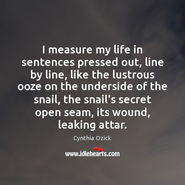 I measure my life in sentences pressed out, line by line, like Cynthia Ozick Picture Quote