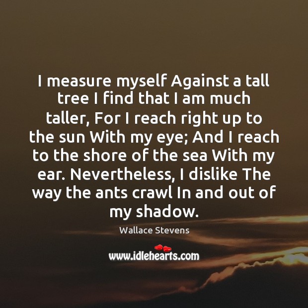 I measure myself Against a tall tree I find that I am Wallace Stevens Picture Quote