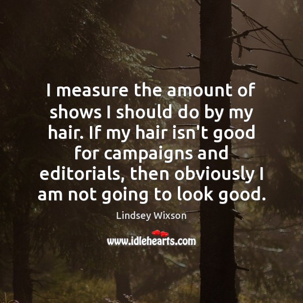 I measure the amount of shows I should do by my hair. Lindsey Wixson Picture Quote
