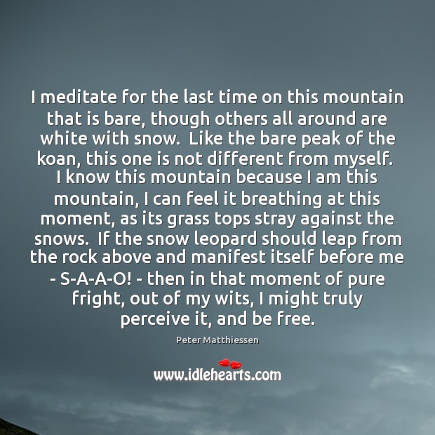 I meditate for the last time on this mountain that is bare, 