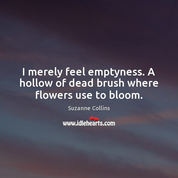 I merely feel emptyness. A hollow of dead brush where flowers use to bloom. Image