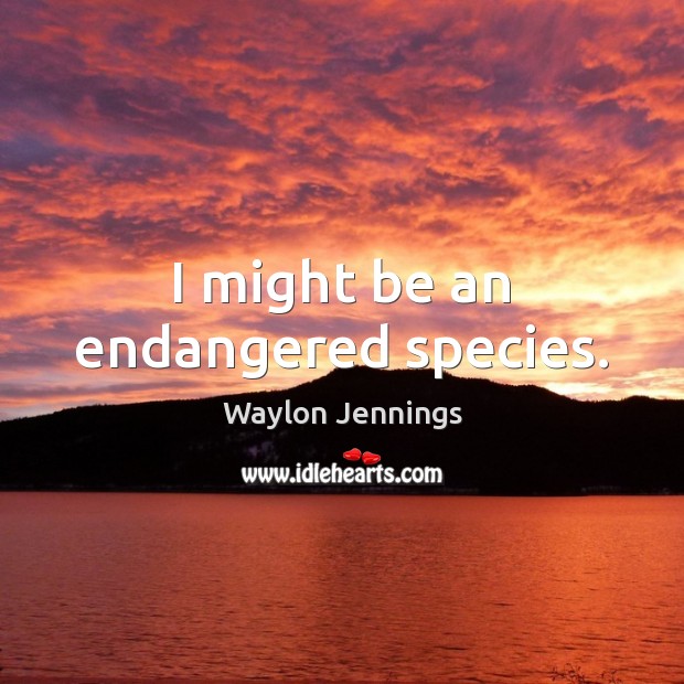 I might be an endangered species. Waylon Jennings Picture Quote