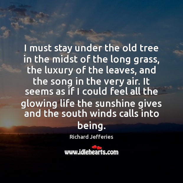I must stay under the old tree in the midst of the Richard Jefferies Picture Quote