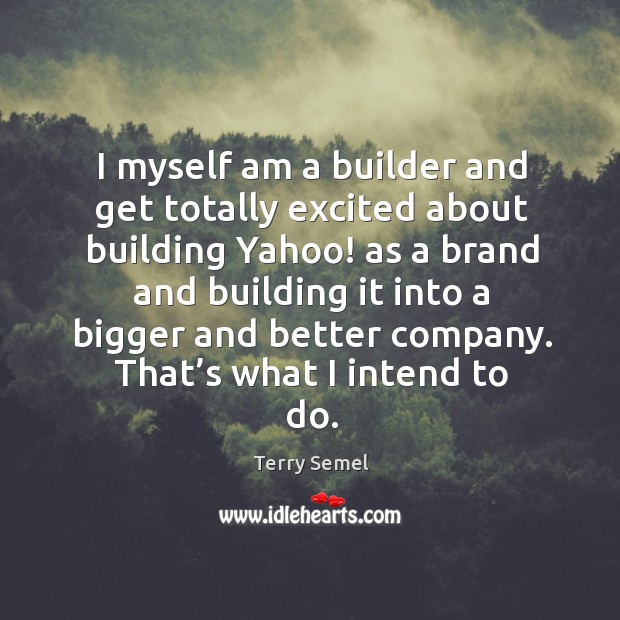 I myself am a builder and get totally excited about building yahoo! as a brand and building it into a Terry Semel Picture Quote