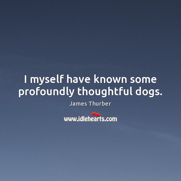 I myself have known some profoundly thoughtful dogs. James Thurber Picture Quote