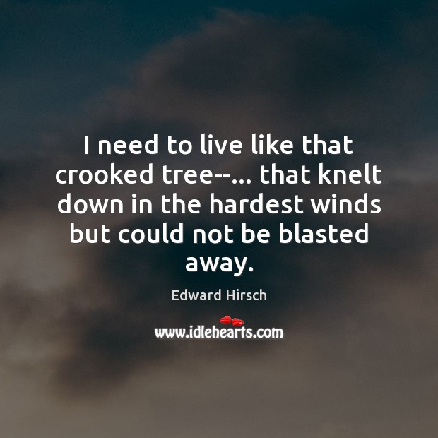I need to live like that crooked tree–… that knelt down in Edward Hirsch Picture Quote