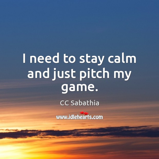 I need to stay calm and just pitch my game. Image