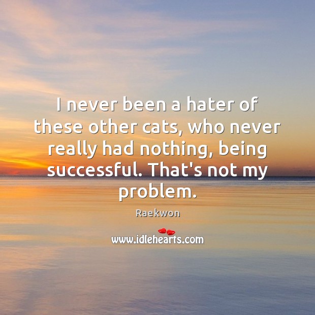I never been a hater of these other cats, who never really Being Successful Quotes Image