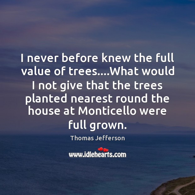 I never before knew the full value of trees….What would I Image