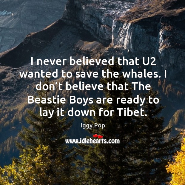 I never believed that u2 wanted to save the whales. I don’t believe that the beastie boys are ready to lay it down for tibet. Iggy Pop Picture Quote