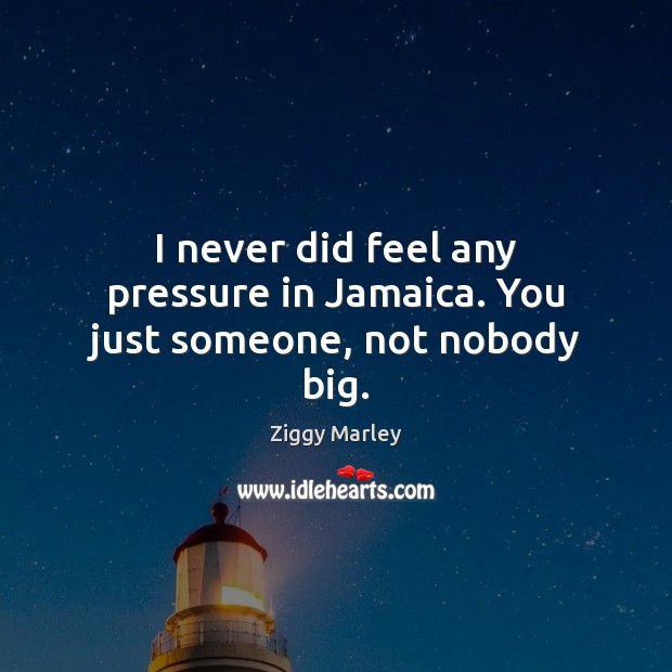 I never did feel any pressure in Jamaica. You just someone, not nobody big. Ziggy Marley Picture Quote