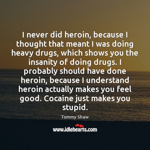 I never did heroin, because I thought that meant I was doing Tommy Shaw Picture Quote