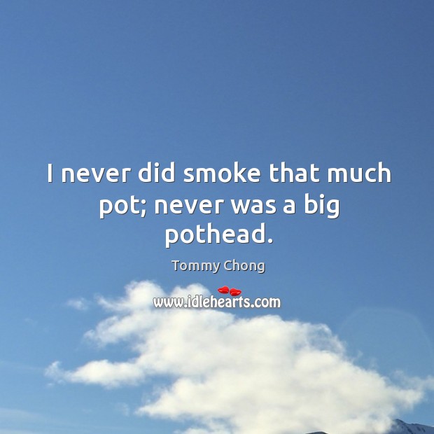 I never did smoke that much pot; never was a big pothead. Image