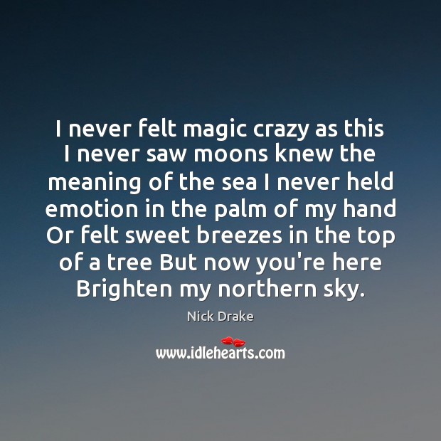 I never felt magic crazy as this I never saw moons knew Nick Drake Picture Quote