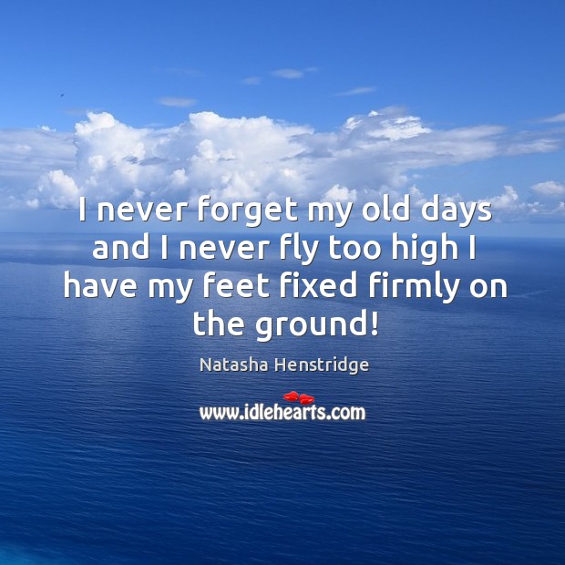 I never forget my old days and I never fly too high I have my feet fixed firmly on the ground! Natasha Henstridge Picture Quote