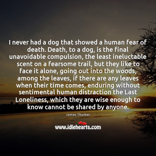 I never had a dog that showed a human fear of death. Image