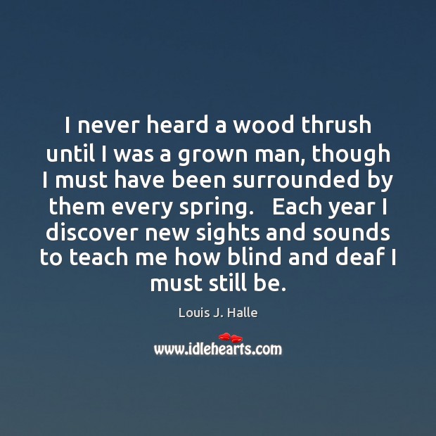 I never heard a wood thrush until I was a grown man, 