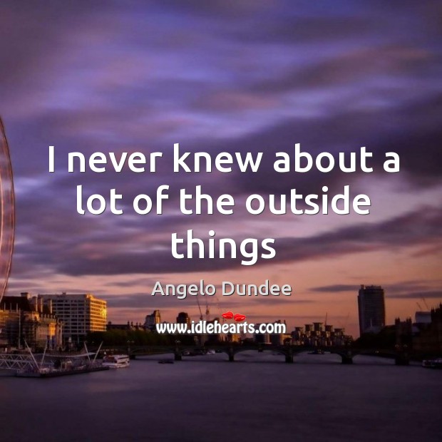 I never knew about a lot of the outside things Angelo Dundee Picture Quote