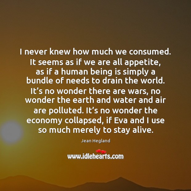 I never knew how much we consumed. It seems as if we Jean Hegland Picture Quote