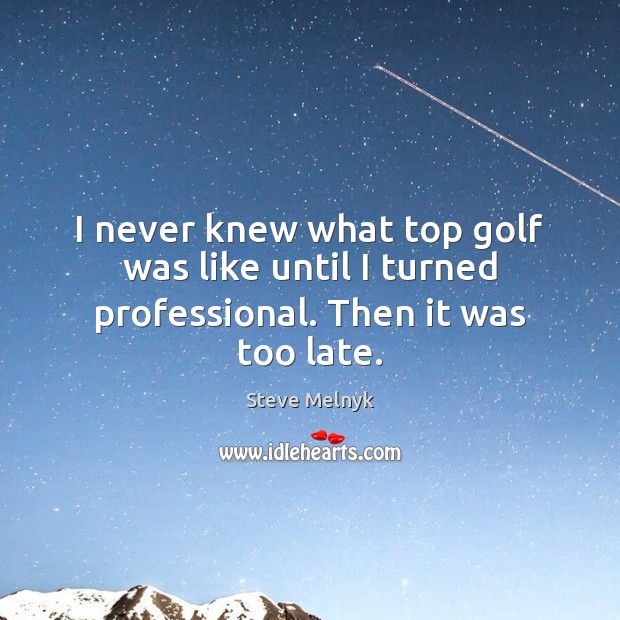 I never knew what top golf was like until I turned professional. Then it was too late. Steve Melnyk Picture Quote